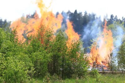Fraser Valley Land Management